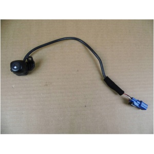 Backkamera baklucka Hyundai Kona EV 95760K4000 (EU-version) 18223871027 main